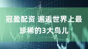 冠盈配资 邂逅世界上最珍稀的3大鸟儿